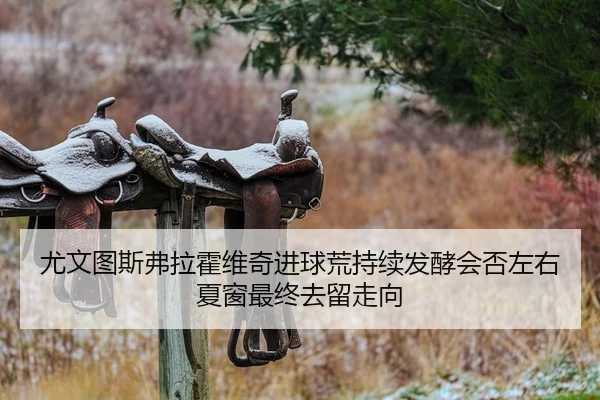 尤文图斯弗拉霍维奇进球荒持续发酵会否左右夏窗最终去留走向